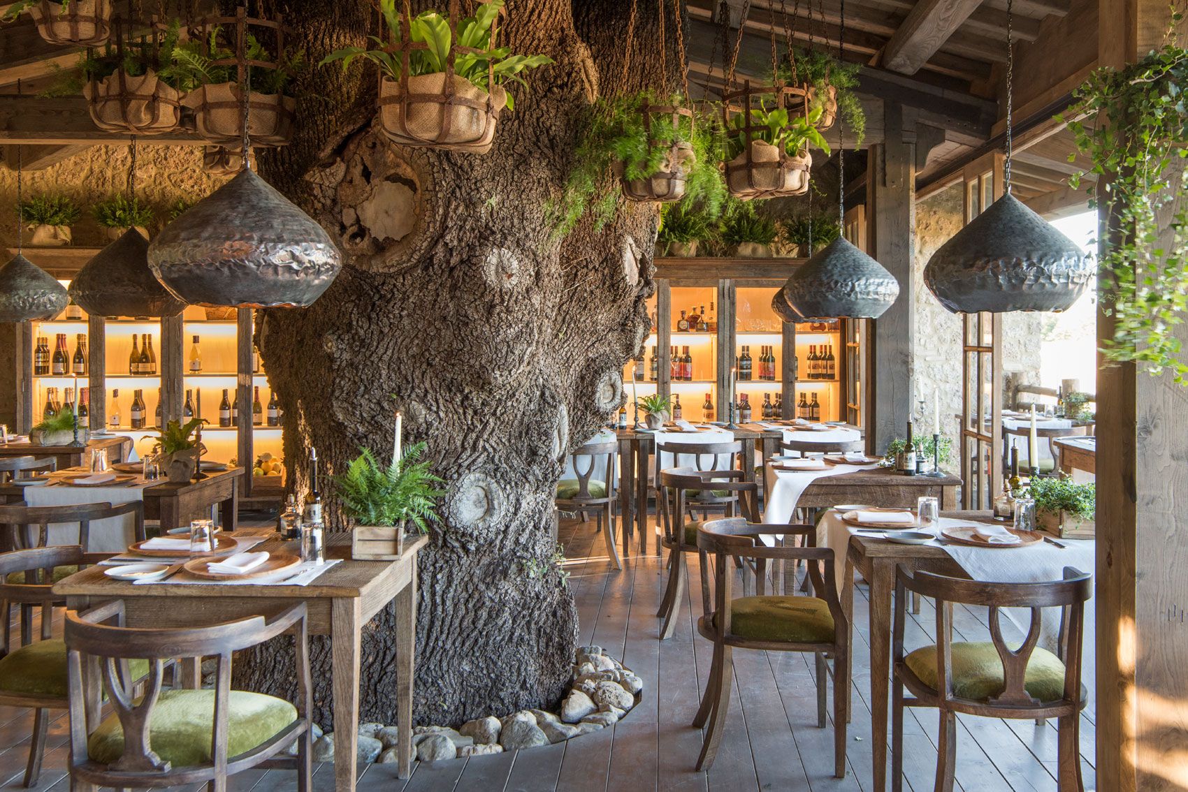 Photo Gallery Trattoria sull