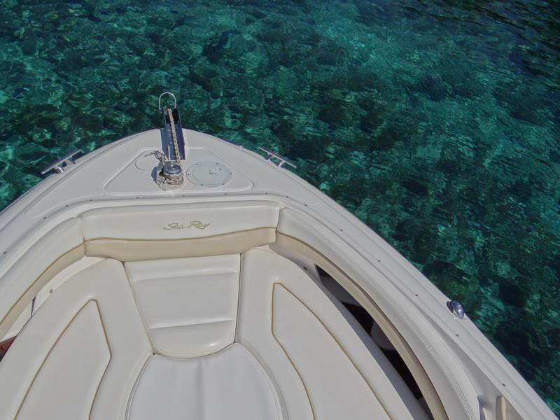 Photo Gallery Sea Ray 290 / CATEGORY A